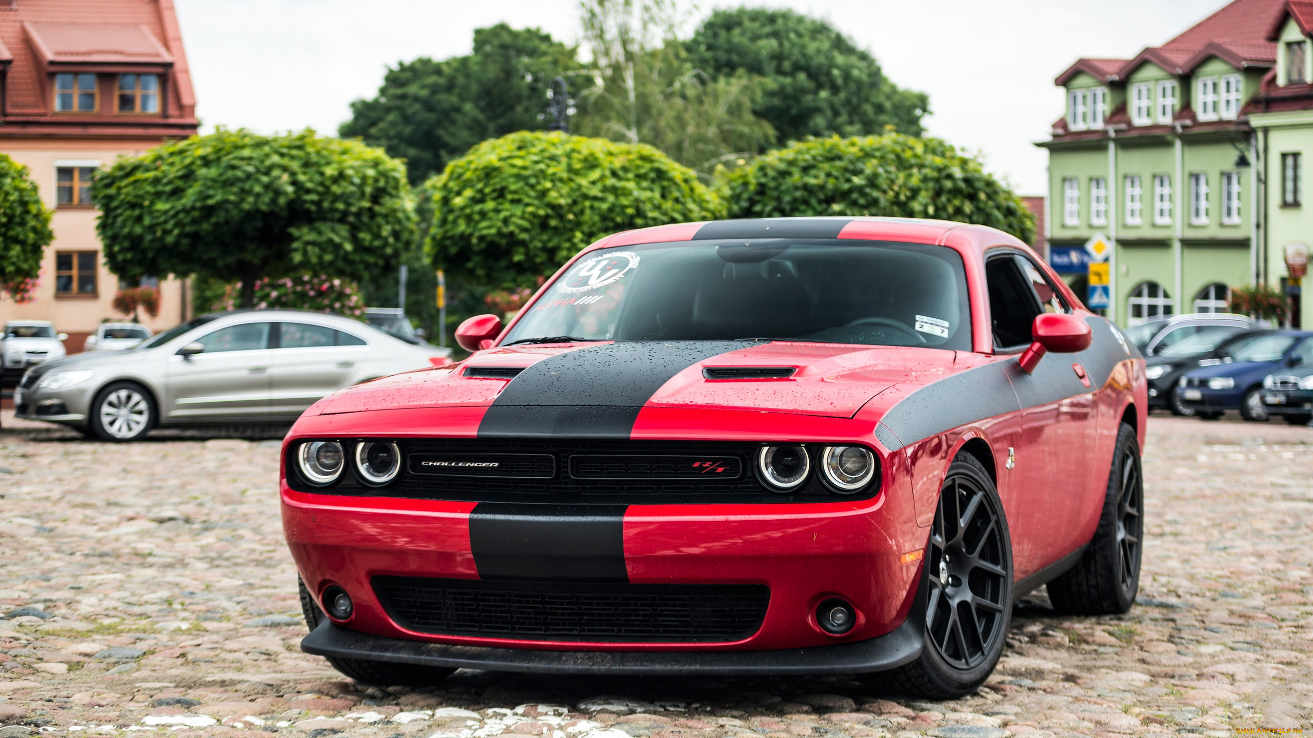 Dodge Challenger Furious Fuchsia